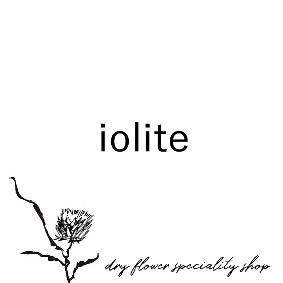 【広島店】『iolite』のドライフラワー